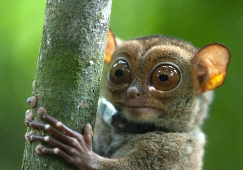 To coraz popularniejsze miejsce wyjazdu Polaków. Jakie ma zwierzęta?