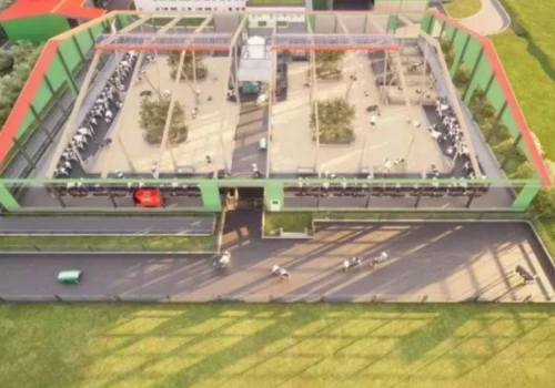 Krowy z cielakami razem i pełna automatyka. Tak ma wyglądać obora przyszłości