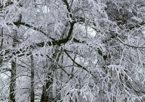 Ostrzeżenie pierwszego stopnia w Ciechanowie i okolicznych gminach
