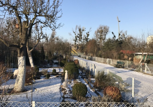 Surowy zakaz na działkach. Właścicielom grozi nawet 1000 zł kary