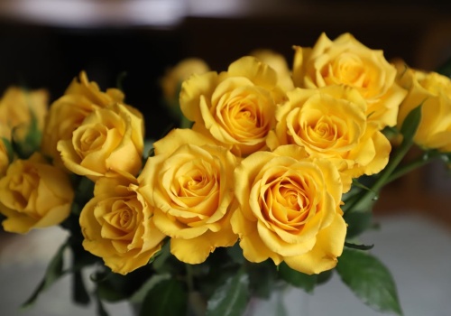 Róże opadły? Florystki mają na to patent. Kwiaty odżyją od razu