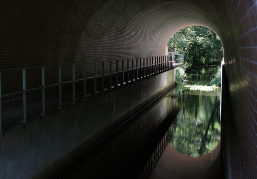 Jest największy w Polsce. Ma 177 lat i 75 metrów długości. Turyści mogą go zwiedzać za darmo