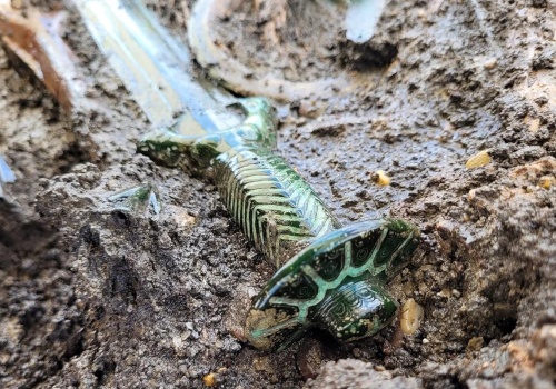 Miecz z epoki brązu dowodem na kunszt dawnych mistrzów. Niesamowite odkrycie w Bawarii