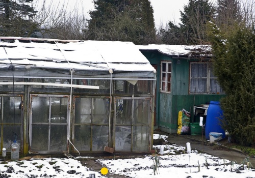 Rolnik prosił o generatory prądu. Nikt mu nie pomógł, straty są ogromne
