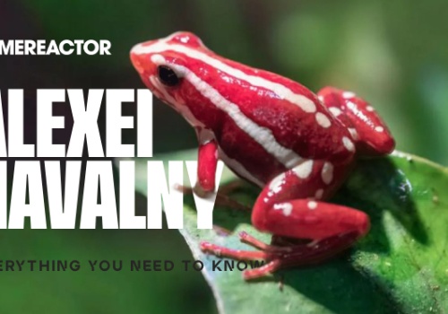 Wszystko, co musisz wiedzieć o toksynie żaby strzałkowej, która rzekomo została użyta do zabicia Alekseja Nawalnego