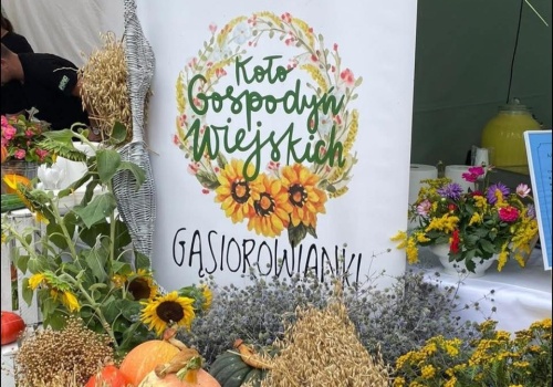 Cichy konflikt, głośne odejście. 18 kobiet odchodzi z koła