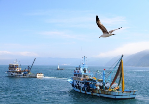 Rosja prowadzi rabunkowe połowy w Afryce, by finansować wojnę