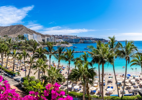 Tanio na Kanary❗ Już od 117 PLN za podróż w jedną stronę 😲🌤️✈️