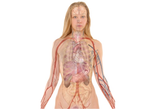 Infekcja dróg moczowych