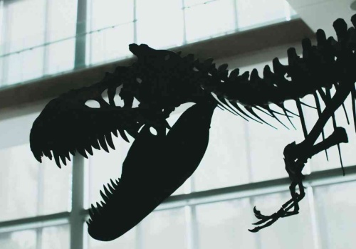 AI tropi pradawne zwierzęta. Odkryła coś ważnego