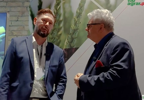 Wymarznie ten rzepak, czy nie? Eksperci uspokajają – trzeba jeszcze zaczekać. Rola soi nadal rośnie