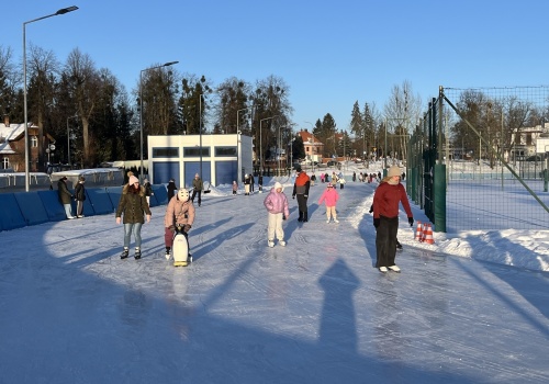 Aktywna zima na ślizgawkach