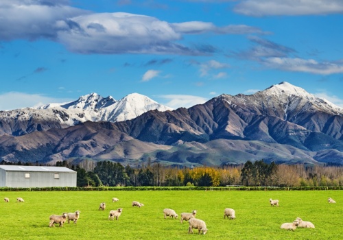 Nowa Zelandia za 2381 PLN 😲✈️🧳 Loty z dużym bagażem, z Budapesztu