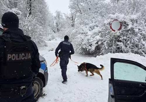 Poślizg zakończony kolizją. Sprawca uciekł pieszo. W akcji m.in. pies tropiący