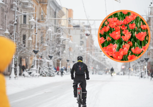 Kiedy przyjdzie wiosna? „Mam już dość tegorocznej zimy, jak każdy”