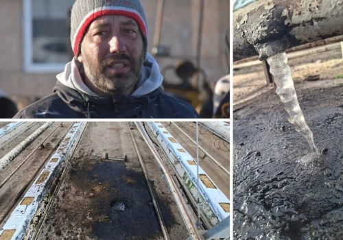 Tragedia rolnika: brak prądu w szklarni, milionowe straty. Operator odpowiada