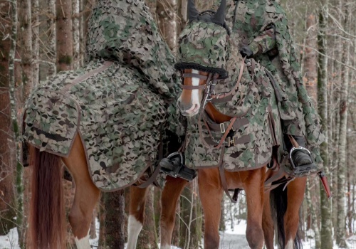 Szwajcaria: Konie patrolowe z kamuflażem multispektralnym