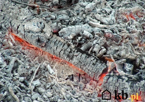 Co naprawdę kryje się w popiele z kominka? Skład może zaskoczyć