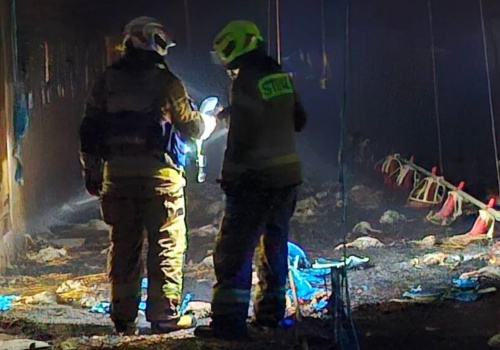 Pożar budynku z 7 tys. zwierząt w środku. Przerażający widok i ogromne straty