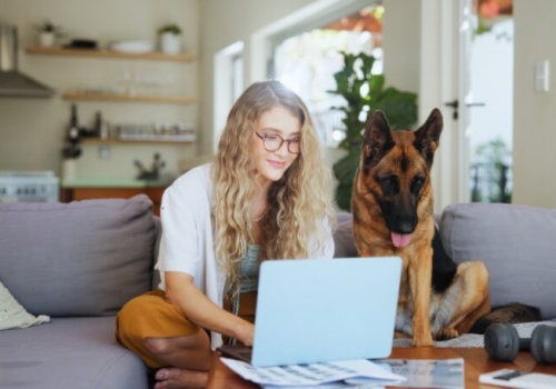 Ubezpieczenie dla psa i kota w UK. Czy warto? Drastyczny wzrost cen u weterynarzy