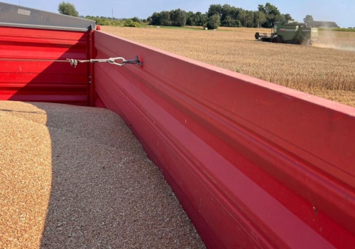 Tydzień zmiennych notowań zbóż na światowych giełdach