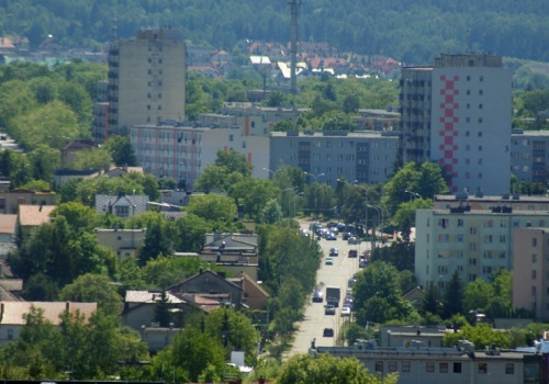Nie można pozwolić drzewom rosnąć, jak chcą. Europejska strategia wchodzi do miast