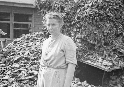 Była tak śliczna, że nazywano ją 