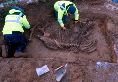 Starożytna osada na terenie uniwersytetu w Dortmundzie. Kampus skrywał przeszłość, jakiej nikt się nie spodziewał