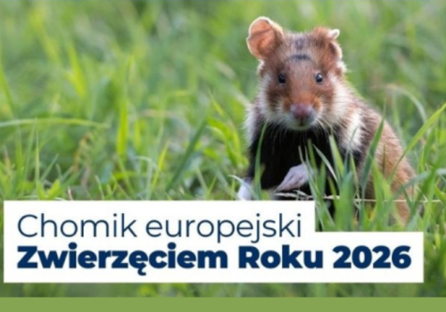 To zwierzę wygrało w plebiscycie tytuł Zwierzęcia Roku 2026