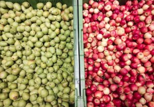 Eksportujemy aż miło. Rekordowy rok polskich producentów żywności