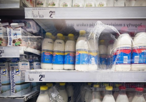 To już nie dojna krowa? Polska branża mleczarska na zakręcie