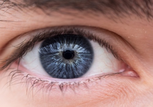 Siatkówka oka stworzona w laboratorium ujawniła sekret stojący za ludzkim wzrokiem