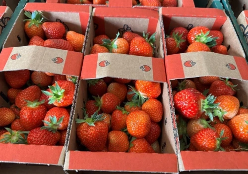 Flaga kraju pochodzenia na owocach od dzisiaj obowiązkowa!