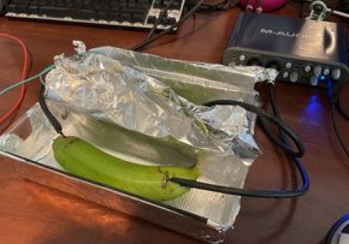 Kosztujący krocie przewód, banan czy błoto? Zadeklarowani audiofile nie potrafili określić różnicy między dźwiękami przesyłanymi przez każde z tych źródeł