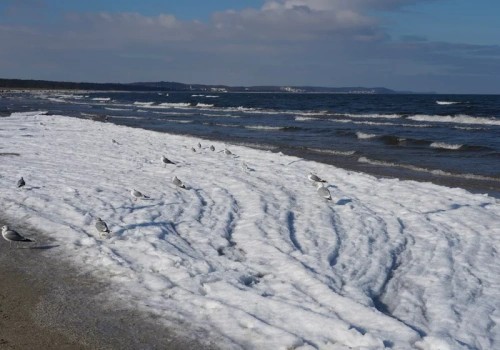 Nadmorski kurort hitem ferii zimowych. Polacy szczególnie docenili to miejsce