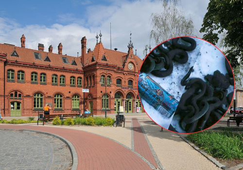 Porzucone węże na peronie 4 w Malborku