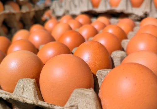 Czy trzeba myć jajka przed włożeniem do lodówki? Eksperci nie mają wątpliwości