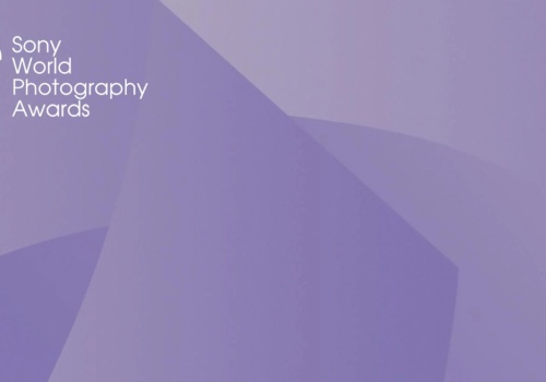 Pustynie, lisy i punk rock. Oto najlepsi fotografowie Sony World Photography Awards 2026 (Konkurs Otwarty)