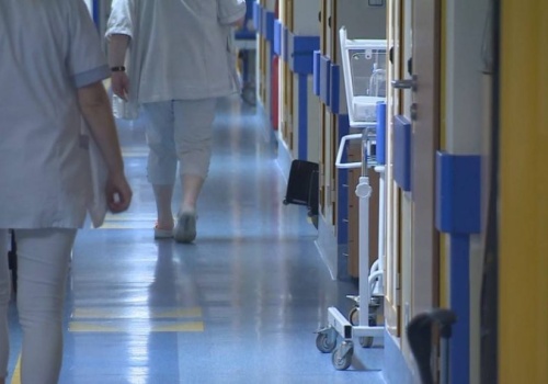 Tropikalny wirus w Krakowie