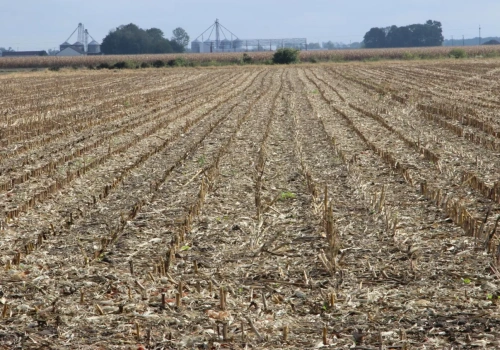 Rolnicy ze Szwajcarii pobierają dopłaty bezpośrednie do niemieckiej ziemi. Co się dzieje na granicy?