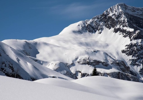 Seria lawin we francuskich Alpach. Wśród ofiar polski narciarz