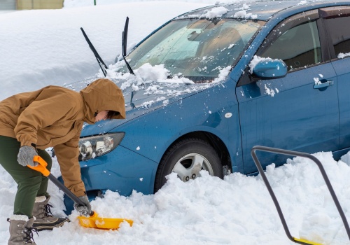 Jej syn zbiera na laptopa. 