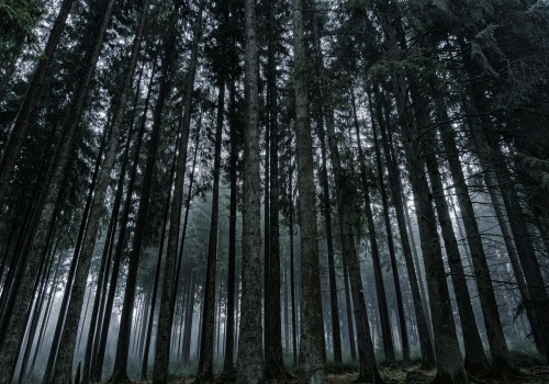 Zagadkowy przedmiot sprzed 2500 lat znaleziony pod Jarosławiem. Archeolodzy mają teorię co do jego przeznaczenia