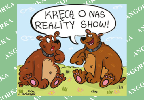 Grizli w obiektywie i Alaska widziana oczami niedźwiedzi