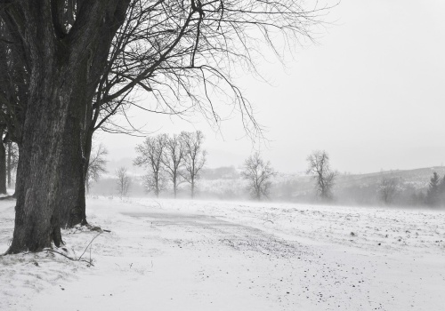 Amerykańscy meteorolodzy ostrzegają: zima potrwa aż do połowy marca