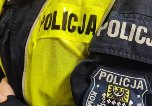 Krzyk i groźby. Przyszedł na rozmowę, wyszedł w kajdankach