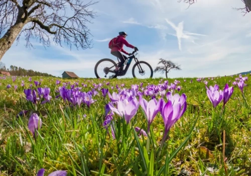 Pierwsze prognozy pogody na Wielkanoc. To będzie eksplozja wiosny!