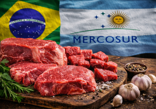 Niebezpieczna wołowina krąży po Europie! 10 krajów objętych alertem