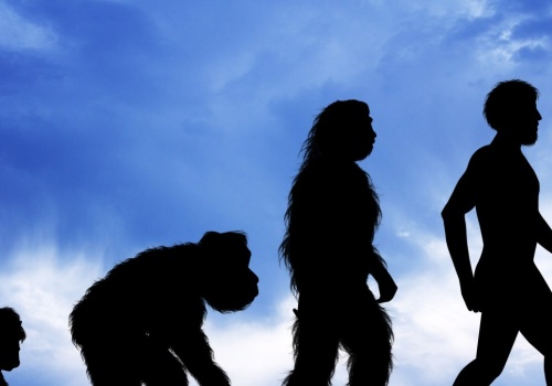 Naukowcy przesuwają granice historii. Te ślady mają 1,9 mln lat