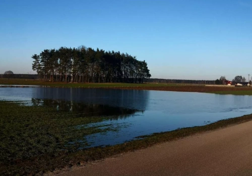 Woda stoi na polach. Czy oziminy to przetrwają? Jakie zabiegi wykonać?